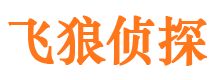 铜鼓外遇调查取证